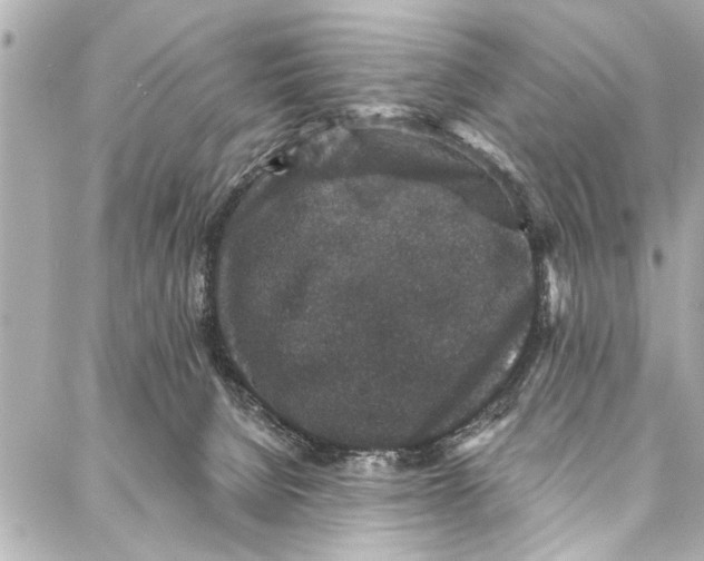 X0000086950080200705071454