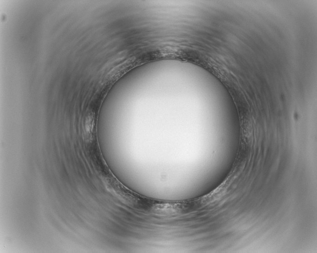 X0000086950082200705071454