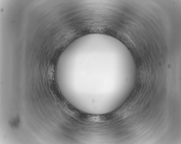 X0000086950083200705071454