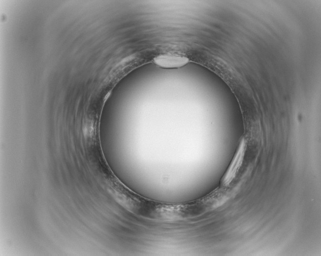 X0000086950084200705071454