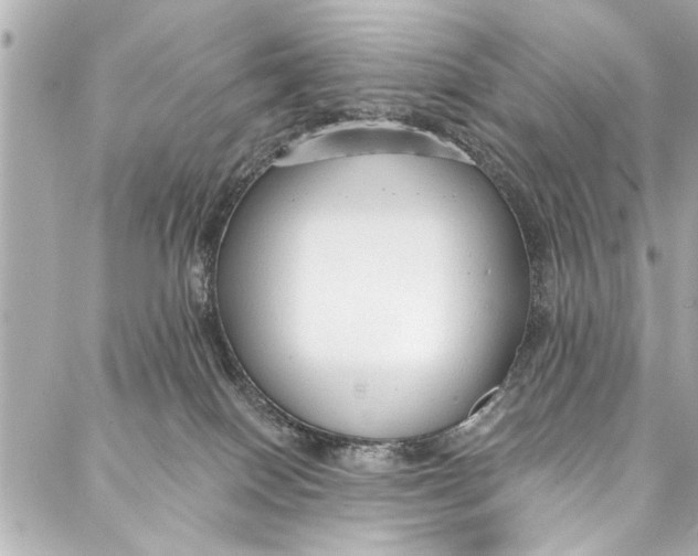 X0000086950086200705071454