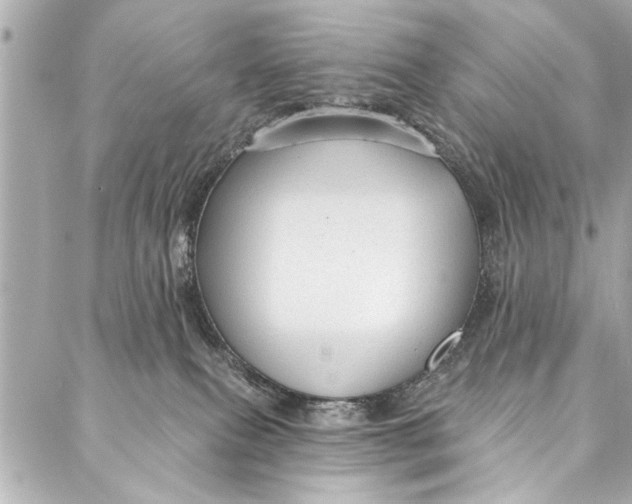 X0000086950087200705071454