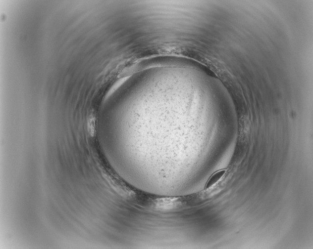 X0000086950090200705071454