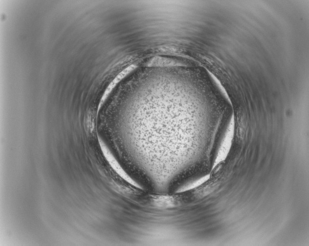 X0000086950091200705071454