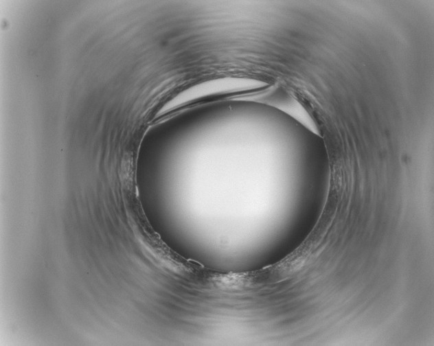 X0000086950092200705071454