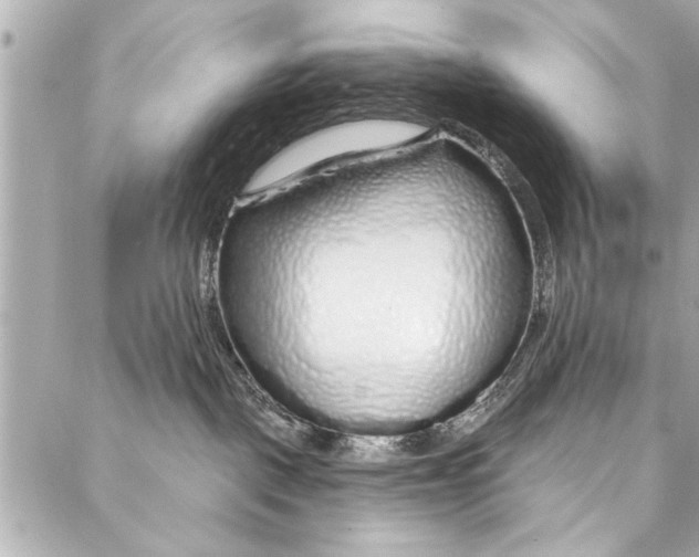 X0000086950093200705071454