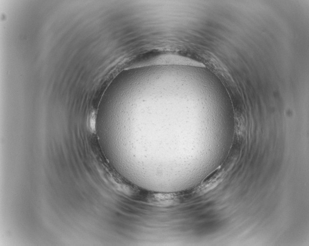 X0000086950095200705071454