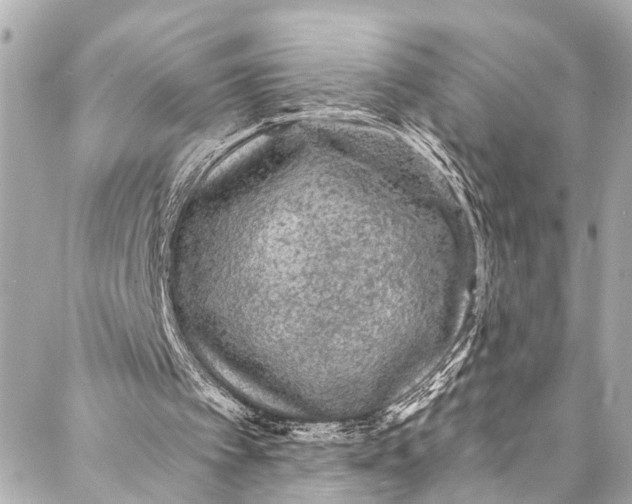 X0000086950097200705071453