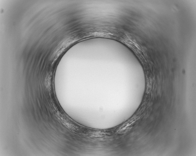 X0000086950098200705071453