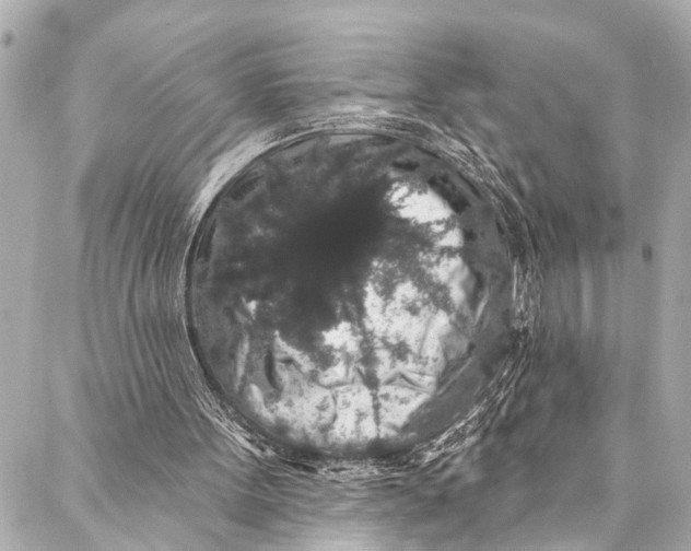 X0000086950099200705071453