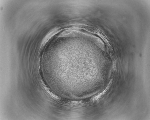 X0000086950101200705071453