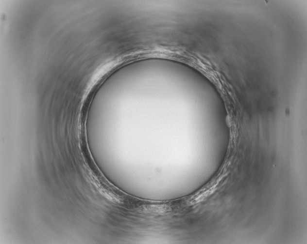 X0000086950102200705071453