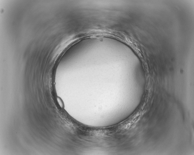 X0000086950103200705071453