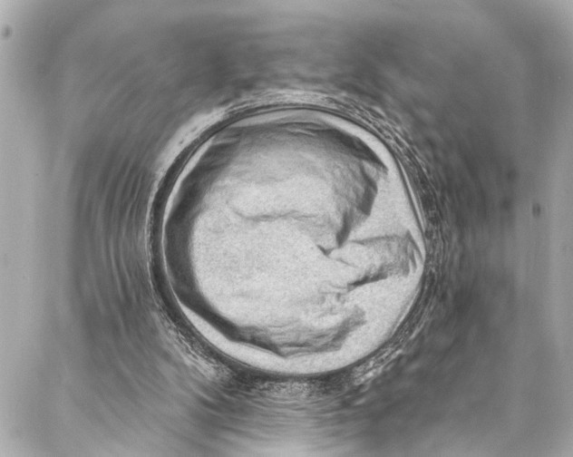 X0000086950104200705071453