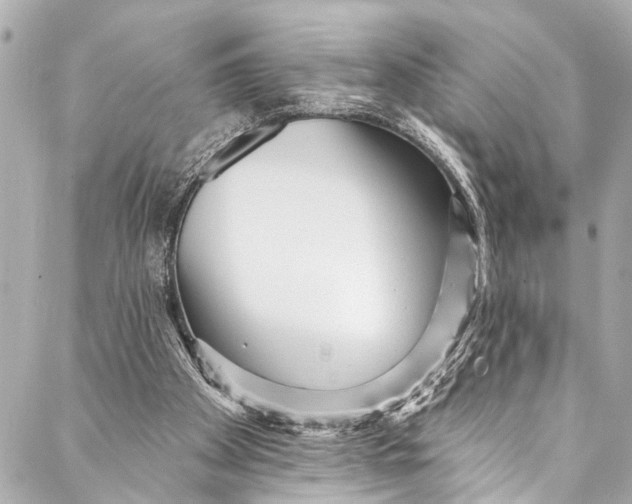 X0000086950105200705071453