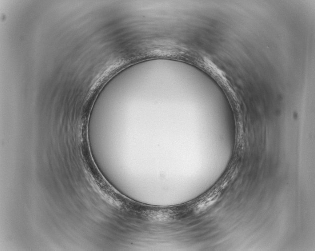 X0000086950106200705071453