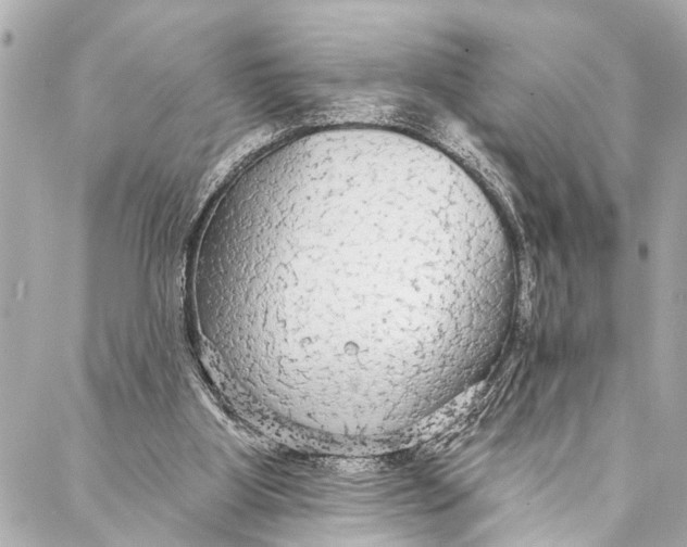 X0000086950107200705071453