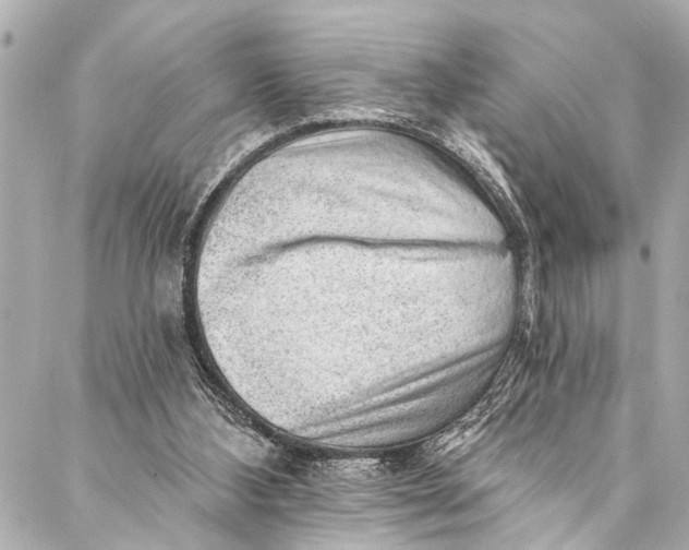 X0000086950108200705071453