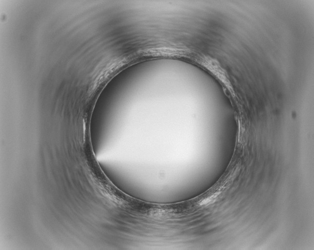 X0000086950109200705071453