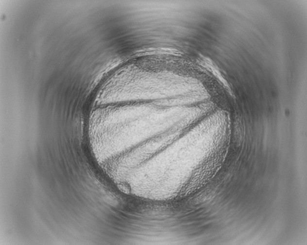 X0000086950110200705071453