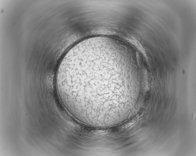 X0000086950111200705071453