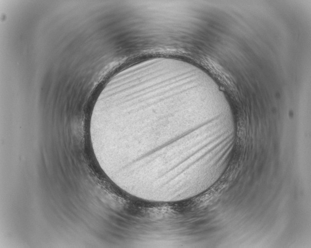 X0000086950112200705071453