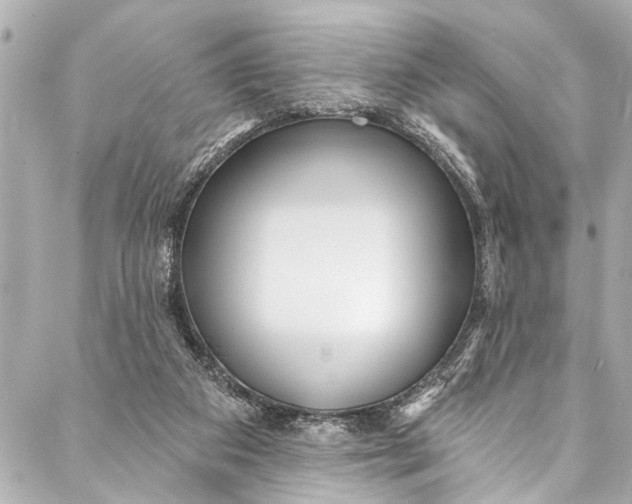 X0000086950113200705071453