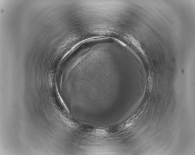 X0000086950114200705071453