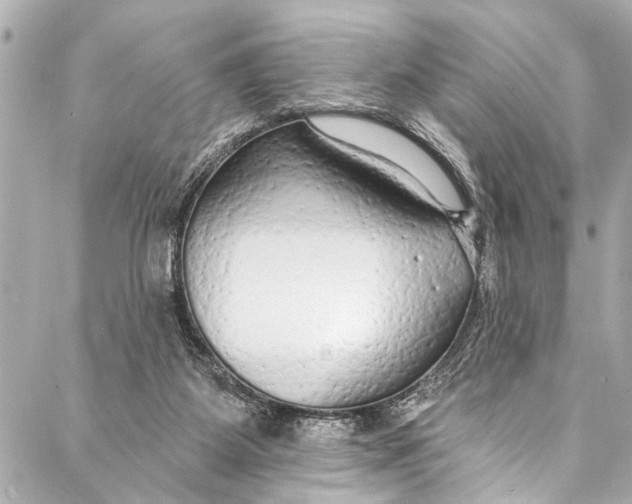 X0000086950115200705071453