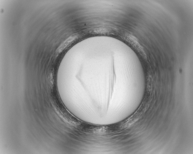 X0000086950116200705071453