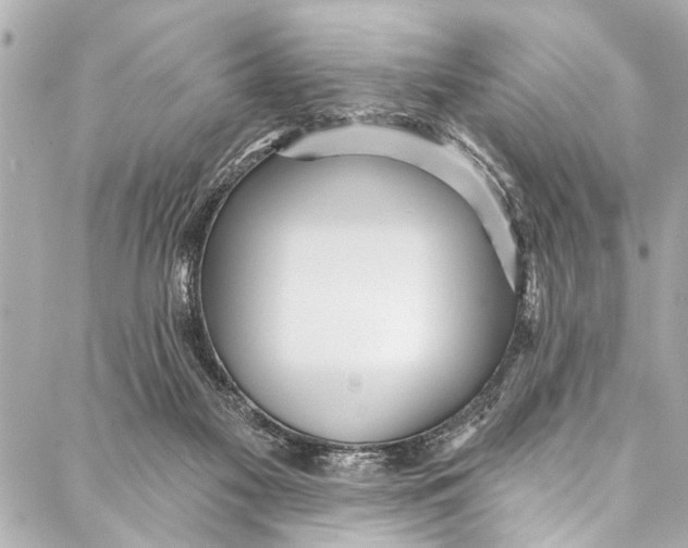 X0000086950117200705071453