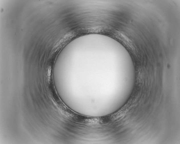 X0000086950118200705071453