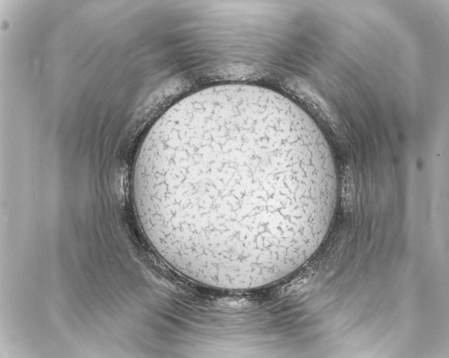 X0000086950119200705071453