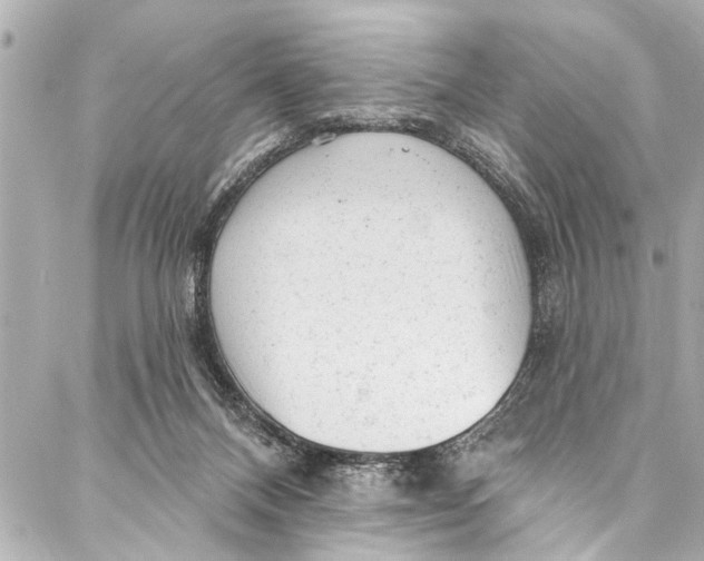 X0000086950120200705071453