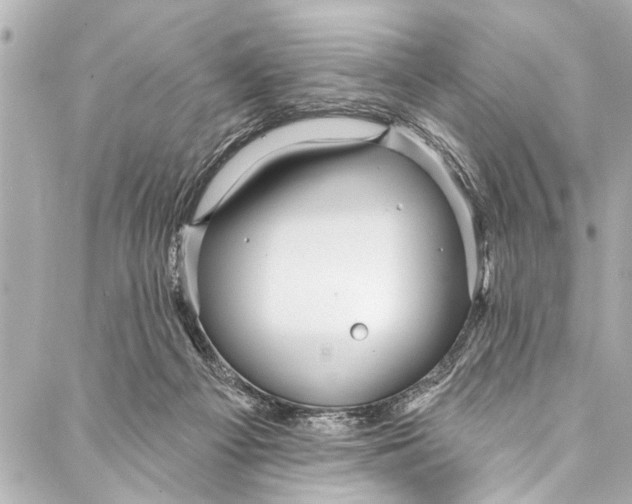 X0000086950121200705071453