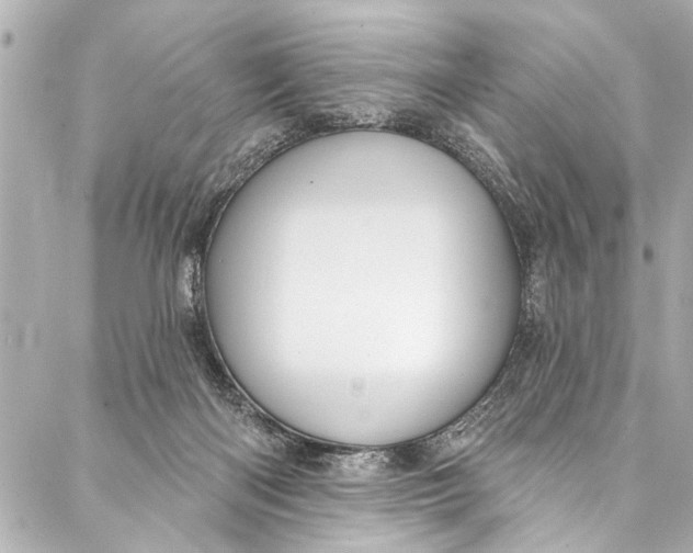 X0000086950122200705071453