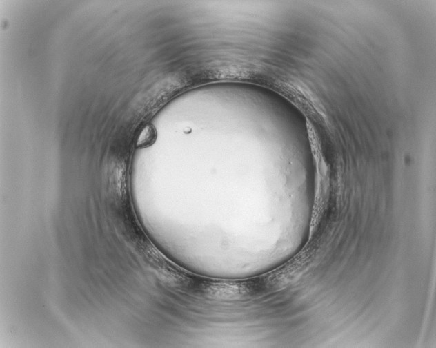 X0000086950123200705071453