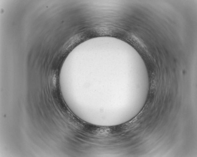 X0000086950124200705071453