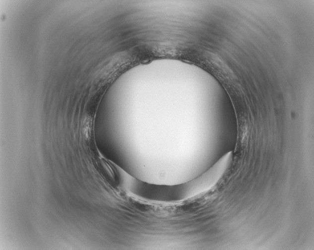 X0000086950125200705071453