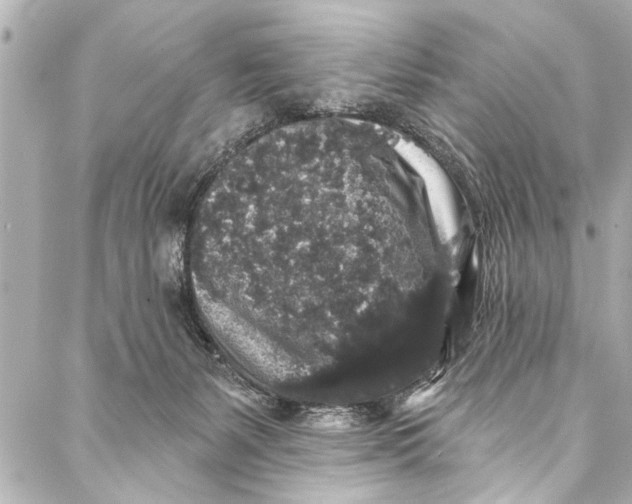 X0000086950127200705071453