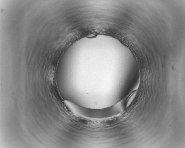 X0000086950129200705071453