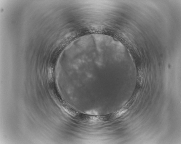 X0000086950130200705071453