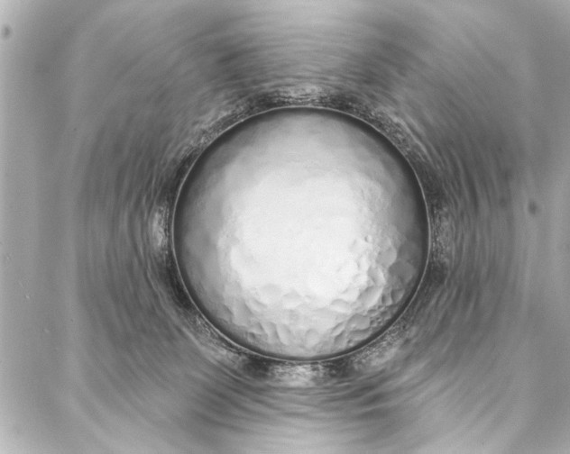 X0000086950131200705071452