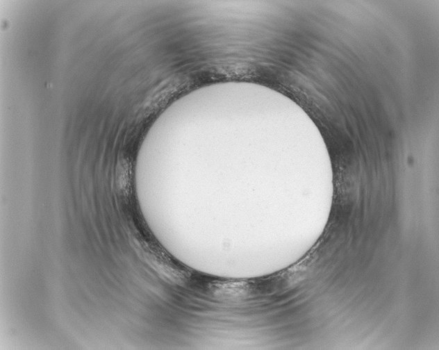 X0000086950132200705071452