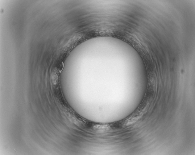 X0000086950133200705071452