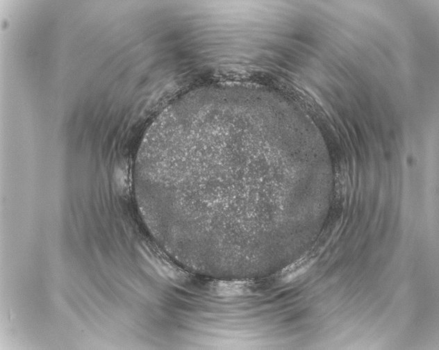 X0000086950134200705071452