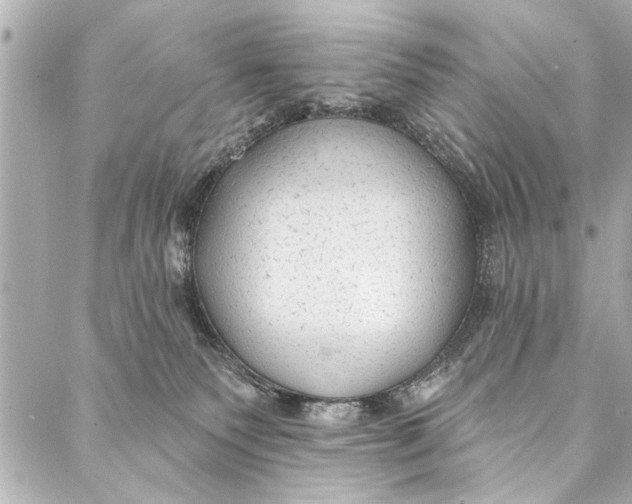 X0000086950135200705071452