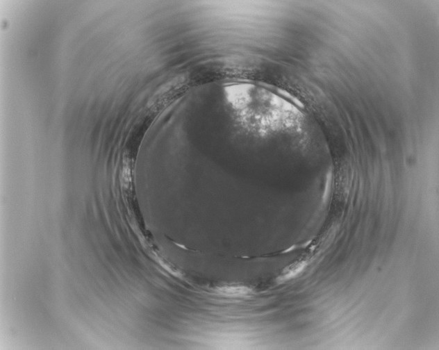 X0000086950137200705071452