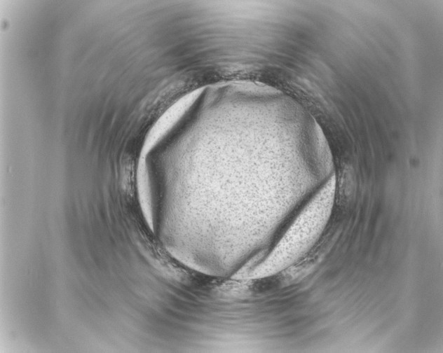 X0000086950138200705071452