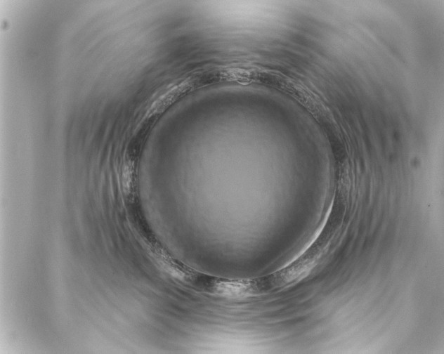 X0000086950139200705071452